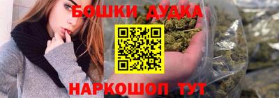сатива Обнинск