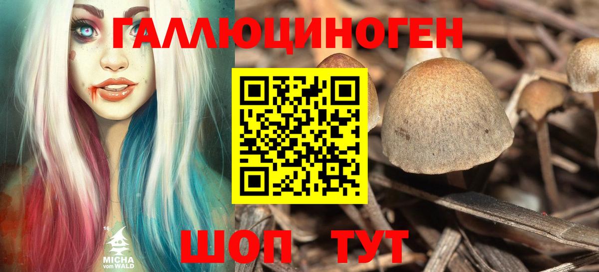 где продают наркотики  Вход с VPN  Тихорецк  Псилоцибиновые грибы мицелий 